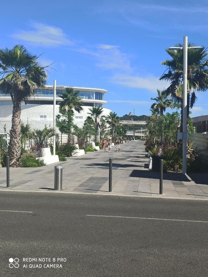 Port Studio Piscine, Parking, Prive,Navette Aeroport Agde Ngoại thất bức ảnh